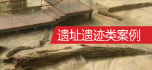 遗址遗迹类案例