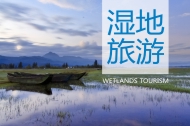 湿地旅游