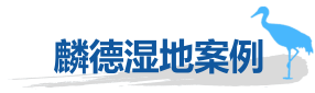 九游会J9官方网站案例